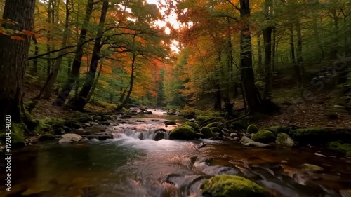 Wallpaper Mural A serene forest stream flows gently over rocks, surrounded by vibrant autumn foliage and warm sunlight filtering through trees in a natural landscape Torontodigital.ca