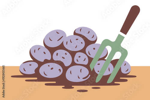 Freshly harvested potatoes with garden fork on soil