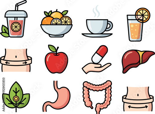 Healthy nutrition and digestive system icon set, detox drinks fruits supplements liver stomach intestines vector illustration collection design