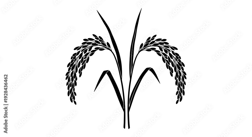 Fototapeta premium Black and white illustration of rice stalks with grains symmetrically arranged