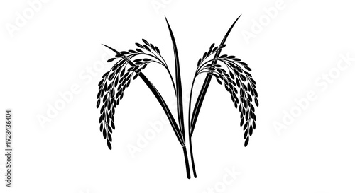 Two sprigs of rice depicted in a minimalist black and white illustration
