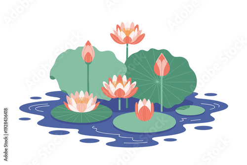 Vibrant lotus flowers blooming in serene pond with lush greenery