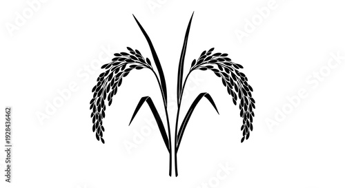 Black and white illustration of rice stalks with grains symmetrically arranged