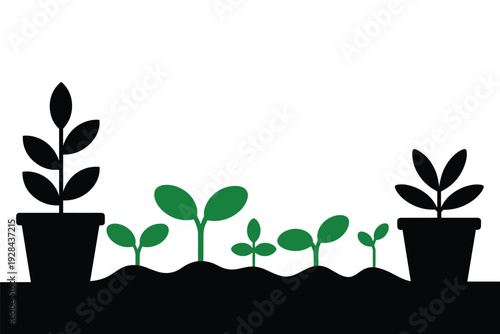 Sprouting seedlings in pots on fertile soil for gardening and growth with copy space