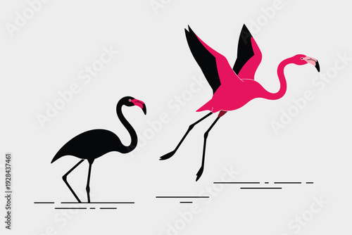 Vibrant pink flamingo dancing with black flamingo friend with copy space