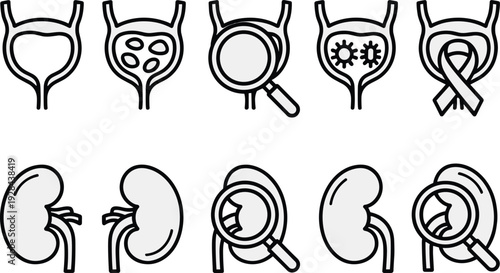 Urology and nephrology medical icons set, bladder kidney examination infection awareness line vector illustration isolated on white background
