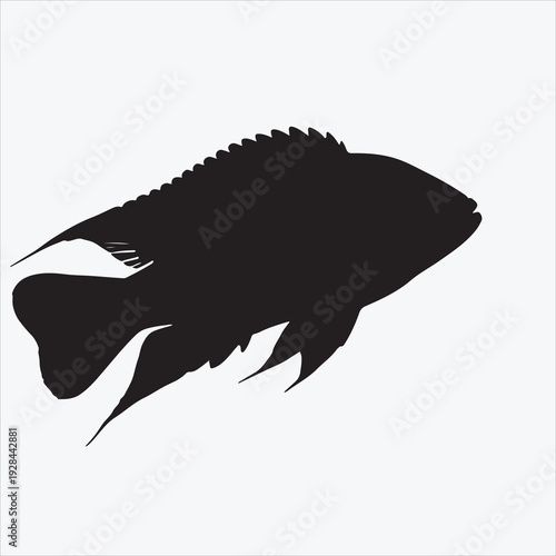 Silhouette sea fish design 