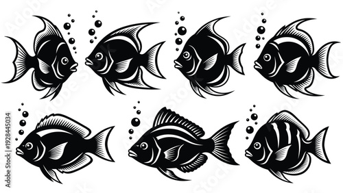 Evolutionary transformation of a fish through abstract artistic interpretations Vector