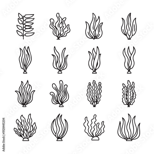Collection of Hand Drawn Seaweed Icons Ocean Plant Illustrations Underwater Flora Elements