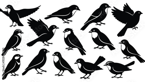 A flock of black birds perched and in flight against a light background Vector