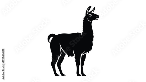 A stylized black silhouette of a standing llama with long curved horns and a thick neck. Vector