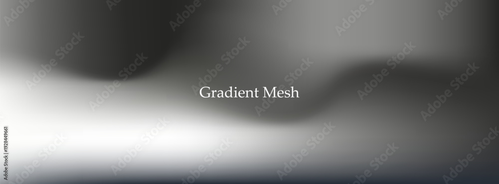 Obraz premium Abstract monochrome gradient mesh background with soft fluid waves, smooth blur transitions and modern minimal luxury aesthetic design template art bg