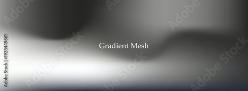 Abstract monochrome gradient mesh background with soft fluid waves, smooth blur transitions and modern minimal luxury aesthetic design template art bg