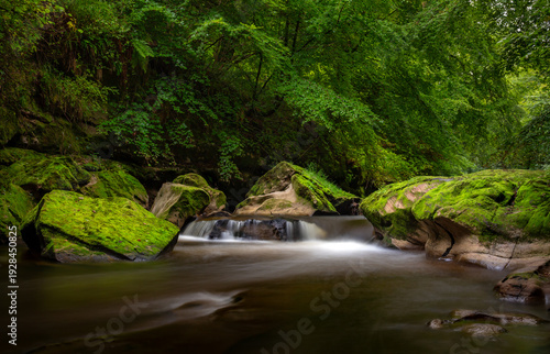 River Esk, surrounded by mossy rocks and lush green trees and vegetation in Rosslyn Glen, Scotland