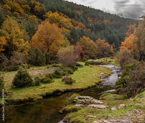 River in a valley in Tejera Negra beech forest, Guadalajara, Spain, with autumn colors in the trees