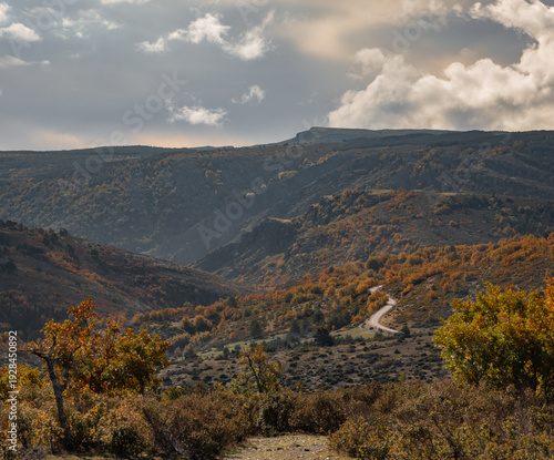 Valley in Tejera Negra beech forest, in Guadalajara, Spain, with autumn colors in the trees