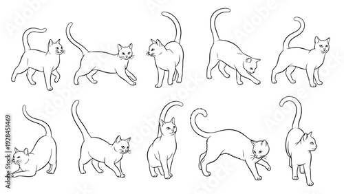 Evolutionary transformation of a stylized creature through various stages of development Vector