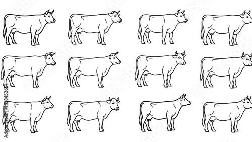 Diverse collection of abstract and geometric line drawings with interconnected shapes and patterns Vector