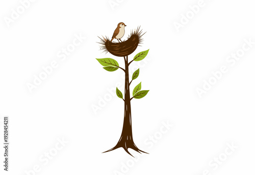 Sparrow Resting Comfortably in a Protective Nest Situated Atop a Tall Slender Tree Branch Displaying Fresh Green Leaves Against a White Background