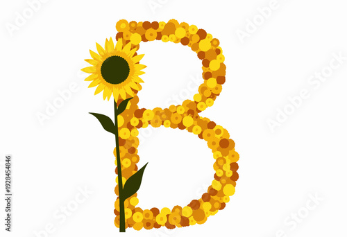 Vibrant Floral Alphabet Letter B Created with Sunflower and Colorful Assorted Flower Arrangements on a Bright White Background