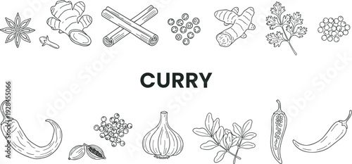 Hand drawn curry spices and herbs illustration with ginger, turmeric, cinnamon, chili peppers, garlic, coriander, star anise, cardamom, curry leaves, peppercorns, cooking ingredients artwork