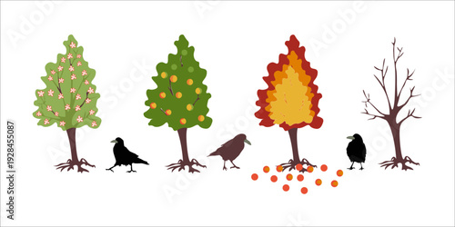 Set of apple trees for each season of the year: winter, spring, summer, autumn, and crows isolated on a white background