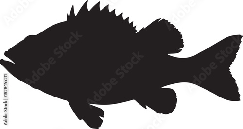 Silhouette sea fish design 
