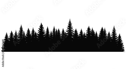 Dense evergreen forest line against a white background silhouette