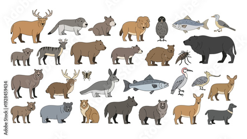 A diverse collection of animals from various habitats and ecosystems around the world Vector