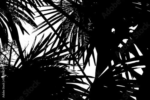 Abstrakter Hintergrund in schwarz und weiß, Kunst