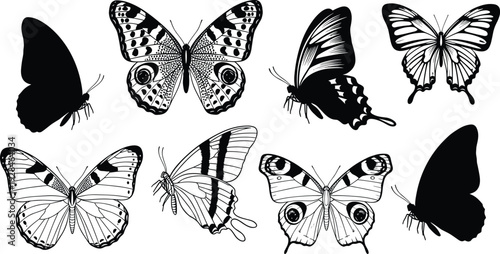 Butterfly illustration collection, diverse wing patterns, black silhouettes, detailed line art, entomology study design, decorative artwork, symmetrical insect species variety
