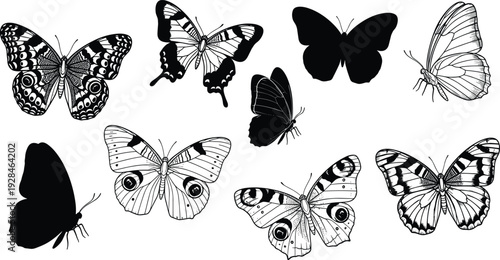 Collection of butterfly illustrations, diverse wing patterns and silhouettes, black and white artwork, entomology design reference, nature insect study