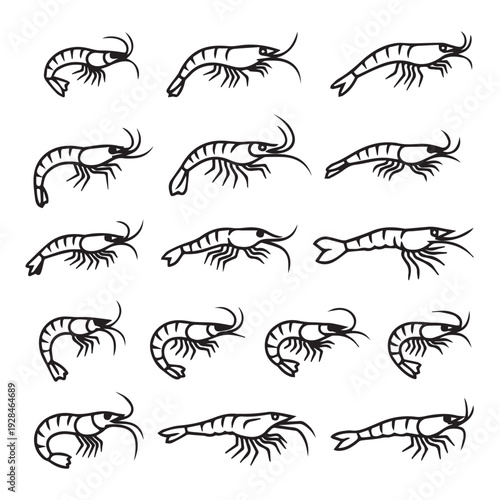 Collection of Shrimp Icons in Various Poses and Directions Simple Line Art