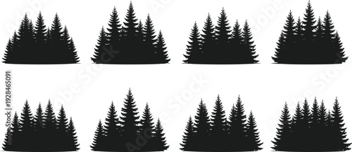 Pine tree silhouette clusters, forest vector illustration, black and white artwork, evergreen woodland design, nature landscape drawing, outdoor environmental graphic