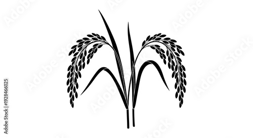 Black and white illustration of rice stalks with grains and leaves