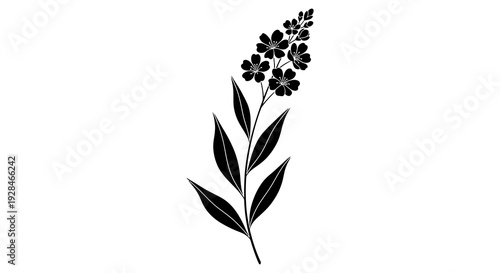 A simple black and white illustration of a flowering plant stem with leaves