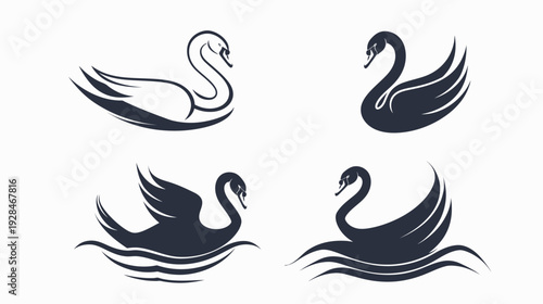 Four elegant swan illustrations in different styles, each with graceful curves on a white background