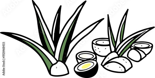 A watercolor illustration featuring a collection of Aloe Vera plants and cut pieces. The image showcases several whole Aloe Vera plants with long, pointed, green leaves, emanating from a central base,