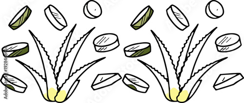 A watercolor illustration featuring a collection of Aloe Vera plants and cut pieces. The image showcases several whole Aloe Vera plants with long, pointed, green leaves, emanating from a central base,