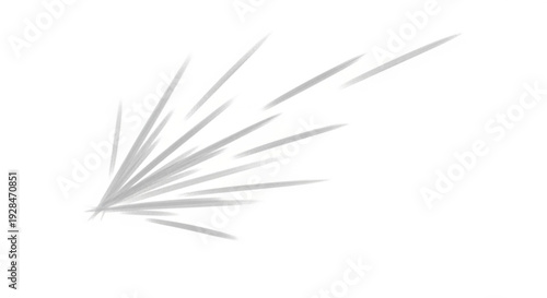 Gray abstract burst of lines radiating from a central point creating a dynamic and energetic visual effect on a white background perfect for graphic design elements