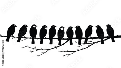 A flock of birds perched on a bare tree branch in a monochromatic setting Vector