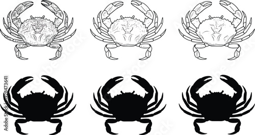 Crab illustration and silhouette vector set, detailed hand drawn seafood crustacean outlines and black icons isolated on white background