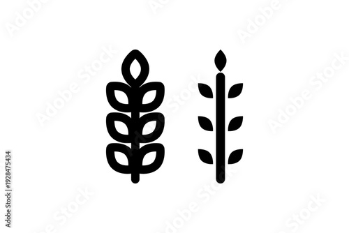 Wheat Ear Icon Outline and Solid