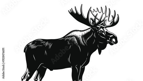 Majestic black silhouette of a moose standing in a stark contrast against a light background Vector