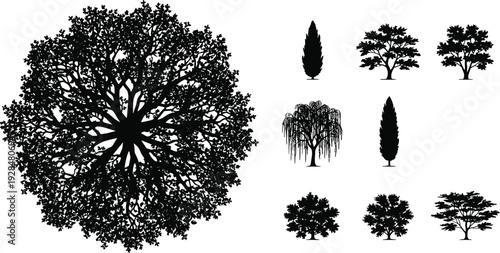 Tree silhouette collection vector set, detailed top view canopy and various garden trees isolated on white background for landscape design projects