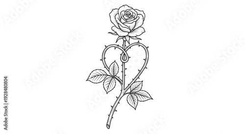Simple Black and White Rose Illustration 1.