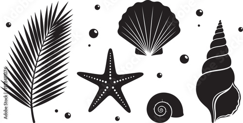Black and white illustration of tropical seashells starfish and palm leaf