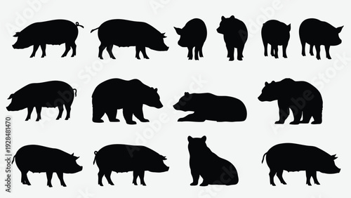 Black and white silhouettes of various pig breeds in different poses Vector