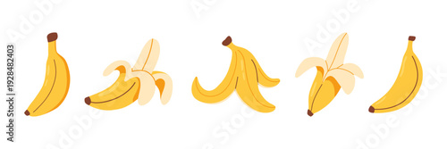 Banana Illustration Set with Whole Bananas Opened Bananas and Banana Peel. Yellow Tropical Fruit Vector Icons
