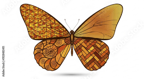 Vibrant orange butterfly with intricate patterns on wings spread wide on white background